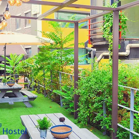 Myeongdong Rooftop Hostel-2